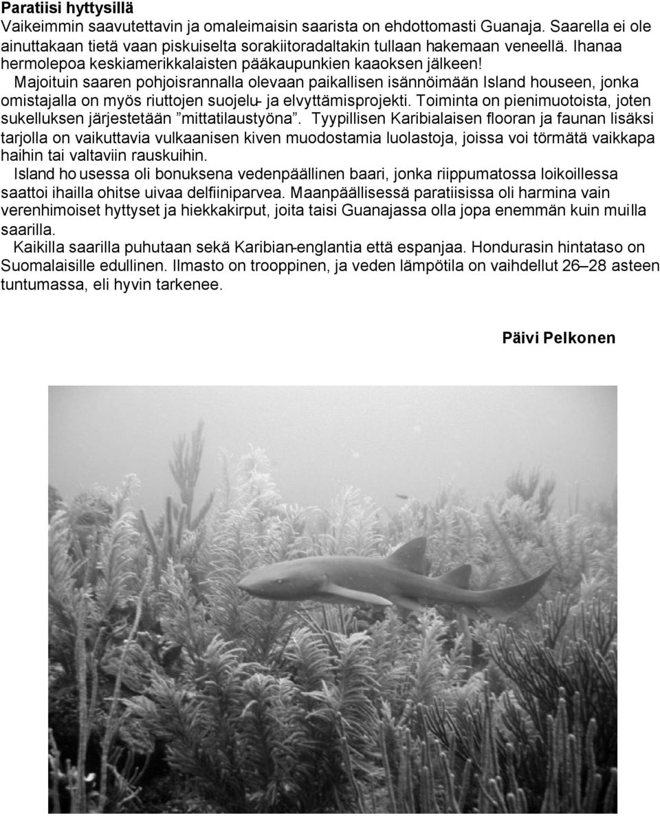 Majoituin saaren pohjoisrannalla olevaan paikallisen isännöimään Island houseen, jonka omistajalla on myös riuttojen suojelu- ja elvyttämisprojekti.