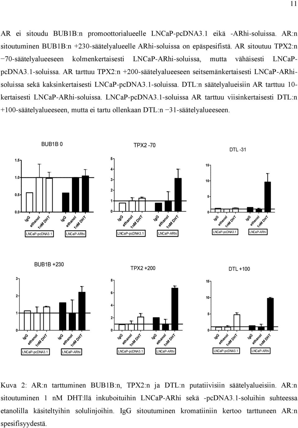 AR tarttuu TPX2:n +200-säätelyalueeseen seitsemänkertaisesti LNCaP-ARhisoluissa sekä kaksinkertaisesti LNCaP-pcDNA3.1-soluissa. DTL:n säätelyalueisiin AR tarttuu 10- kertaisesti LNCaP-ARhi-soluissa.