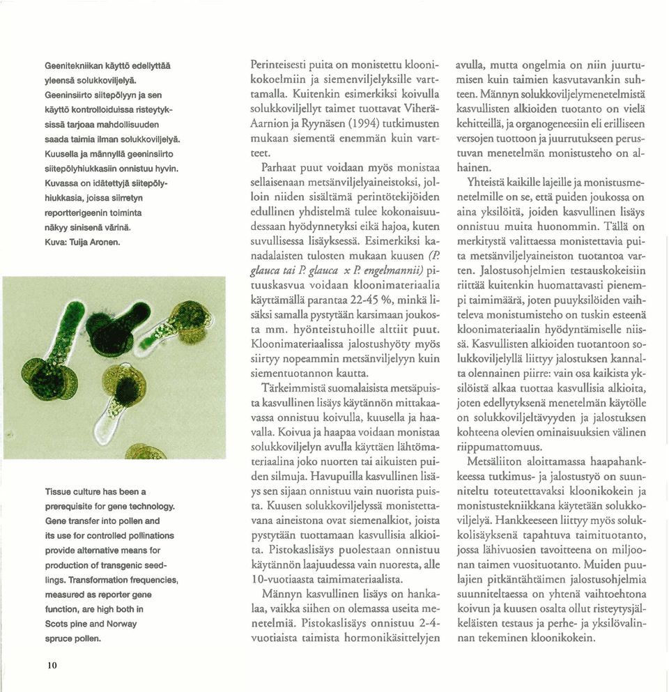 Tissue cuiture has been a prerequisite for gene technology. Gene transfer into pollen and its use for contmlied pollinations provide altemative means for production of transgenic seedlings.