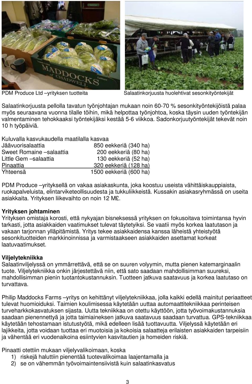 Kuluvalla kasvukaudella maatilalla kasvaa Jäävuorisalaattia 850 eekkeriä (340 ha) Sweet Romaine salaattia 200 eekkeriä (80 ha) Little Gem salaattia 130 eekkeriä (52 ha) Pinaattia 320 eekkeriä (128