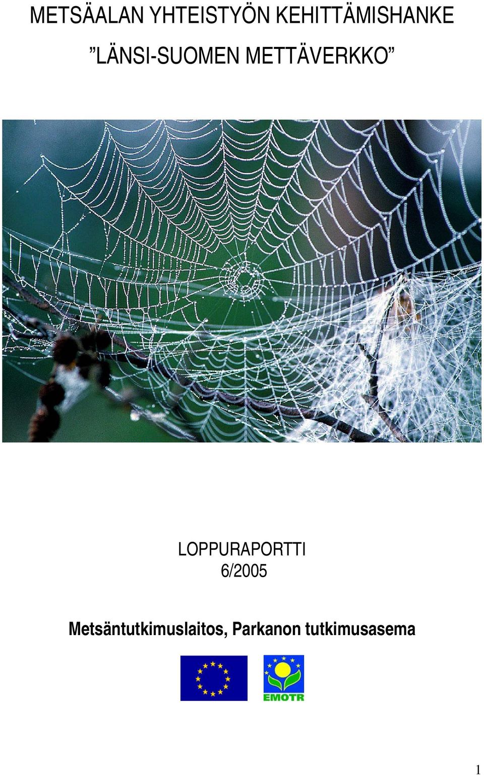 METTÄVERKKO LOPPURAPORTTI 6/2005