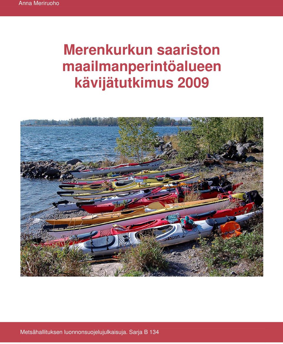 kävijätutkimus 2009