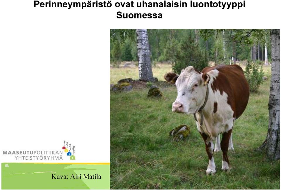 luontotyyppi