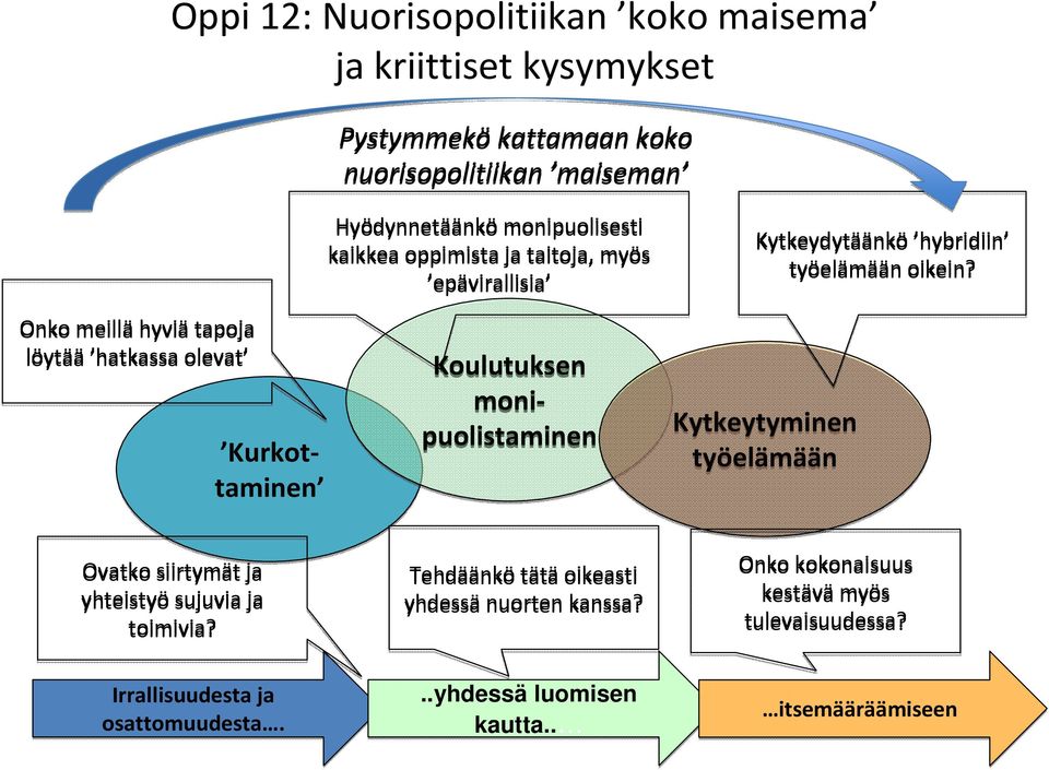 monipuolistaminen Kytkeydytäänkö hybridiin työelämään oikein? Kytkeytyminen työelämään Ovatko siirtymät ja yhteistyösujuvia ja toimivia?