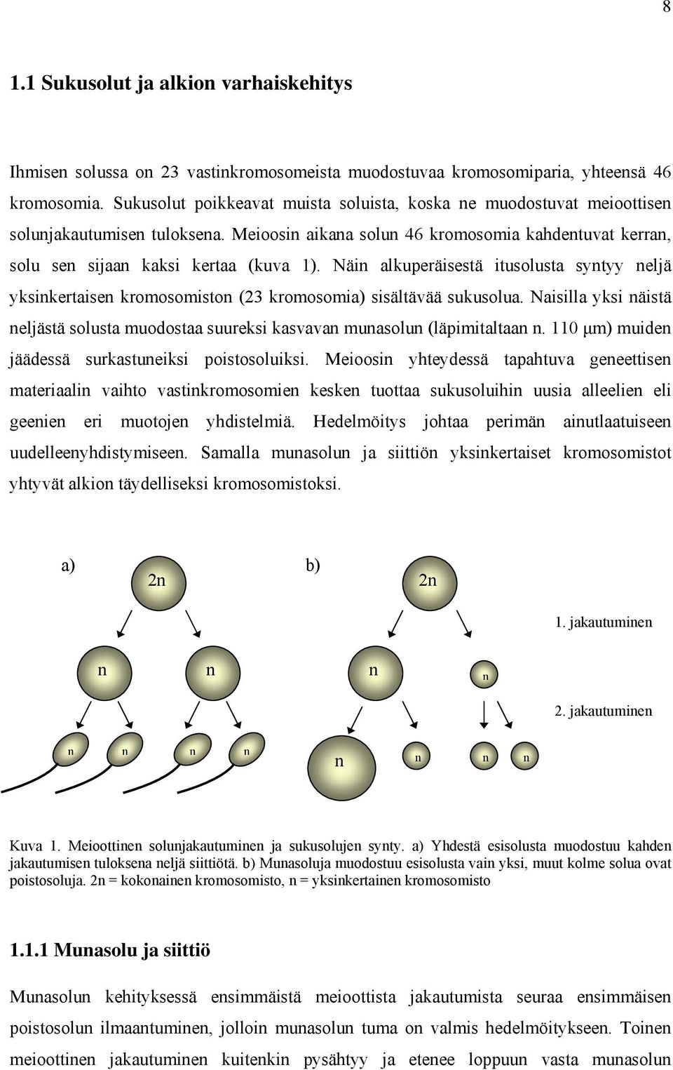 Näin alkuperäisestä itusolusta syntyy neljä yksinkertaisen kromosomiston (23 kromosomia) sisältävää sukusolua.