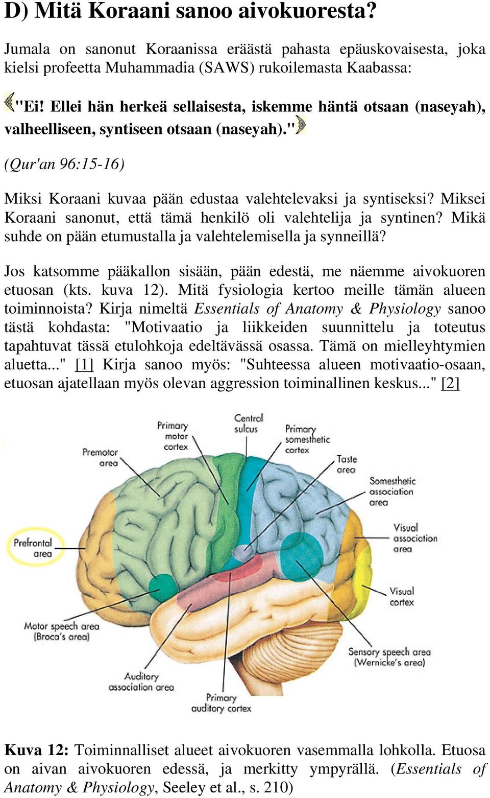 Miksei Koraani sanonut, että tämä henkilö oli valehtelija ja syntinen? Mikä suhde on pään etumustalla ja valehtelemisella ja synneillä?