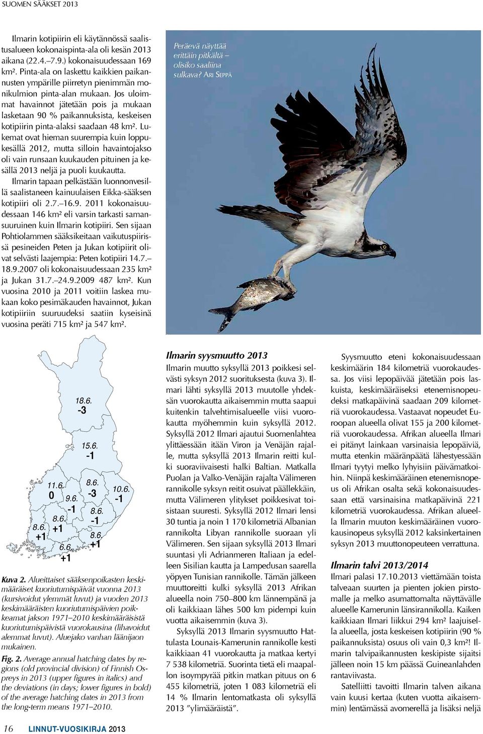 Jos uloimmat havainnot jätetään pois ja mukaan lasketaan 90 % paikannuksista, keskeisen kotipiirin pinta-alaksi saadaan 48 km².