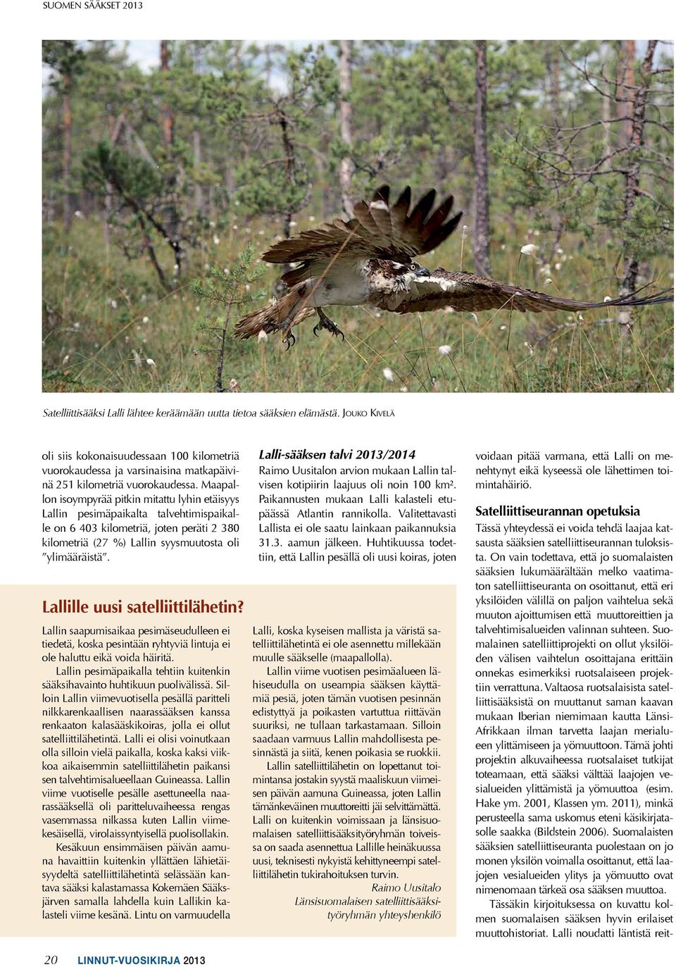 Maapallon isoympyrää pitkin mitattu lyhin etäisyys Lallin pesimäpaikalta talvehtimispaikalle on 6 403 kilometriä, joten peräti 2 380 kilometriä (27 %) Lallin syysmuutosta oli ylimääräistä.