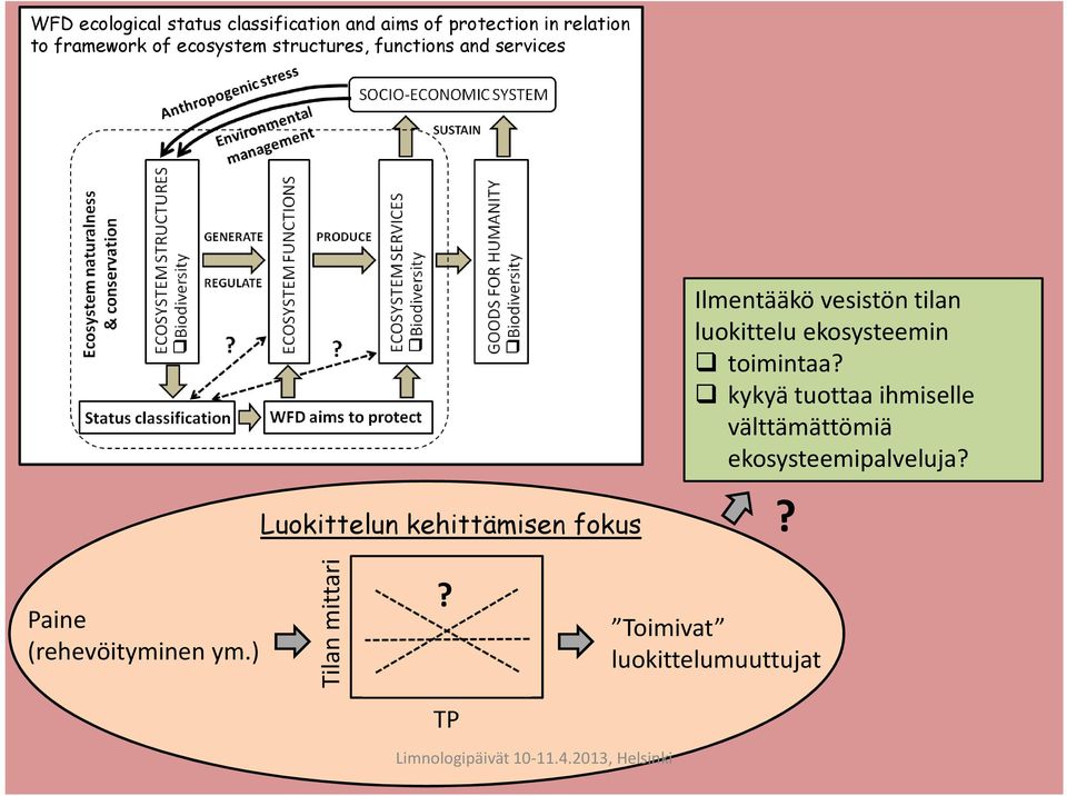 vesistön tilan luokittelu ekosysteemin toimintaa?