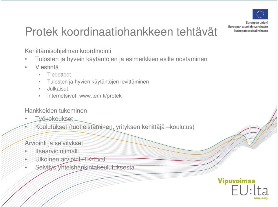 Internetsivut, www.tem.