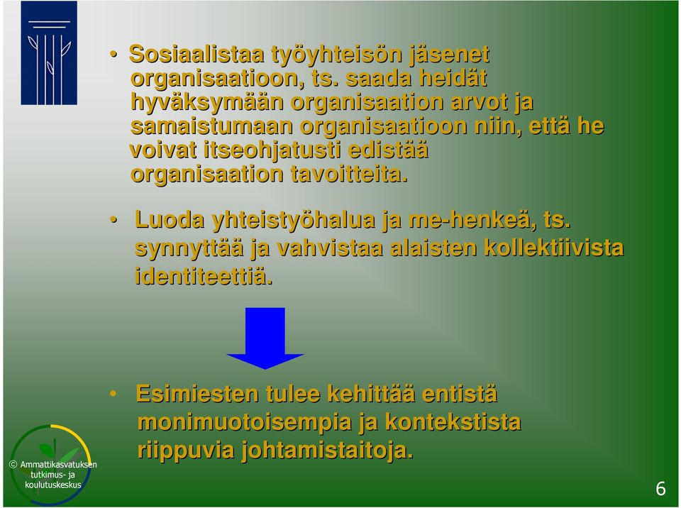 itseohjatusti edistää organisaation tavoitteita. Luoda yhteistyöhalua ja me-henkeä, ts.