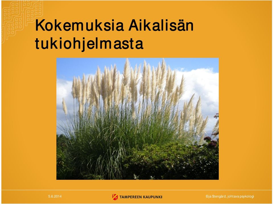 tukiohjelmasta 5.6.