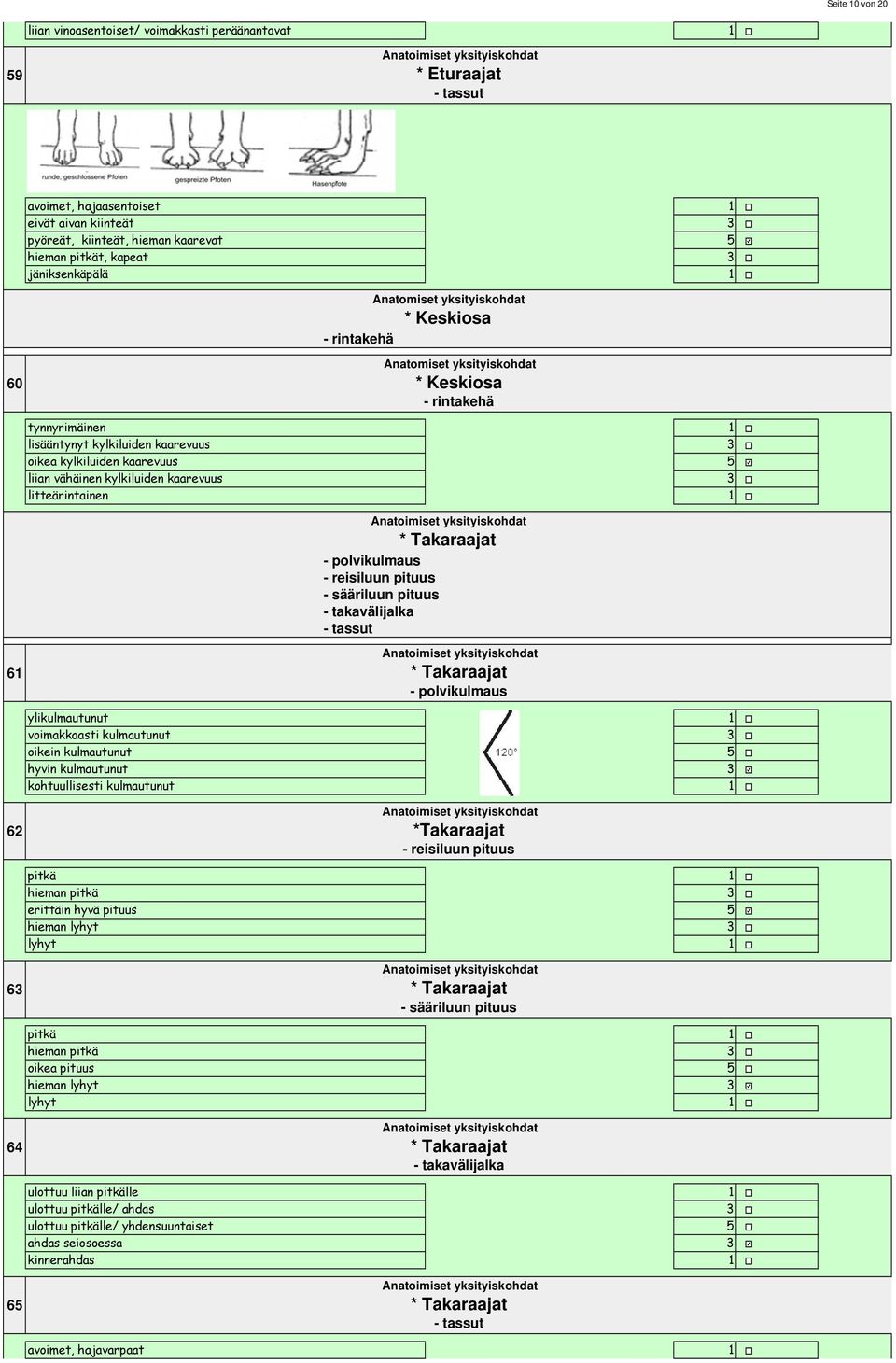 vähäinen kylkiluiden kaarevuus litteärintainen 6 * Takaraajat - polvikulmaus - reisiluun pituus - sääriluun pituus - takavälijalka - tassut * Takaraajat - polvikulmaus ylikulmautunut voimakkaasti