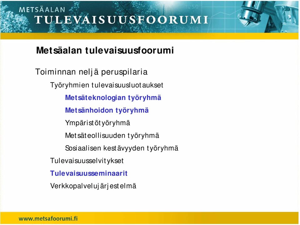 Ympäristötyöryhmä Metsäteollisuuden työryhmä Sosiaalisen kestävyyden