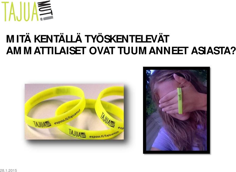 AMMATTILAISET