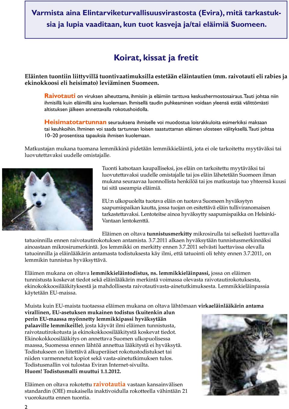 Raivotauti on viruksen aiheuttama, ihmisiin ja eläimiin tarttuva keskushermostosairaus. Tauti johtaa niin ihmisillä kuin eläimillä aina kuolemaan.