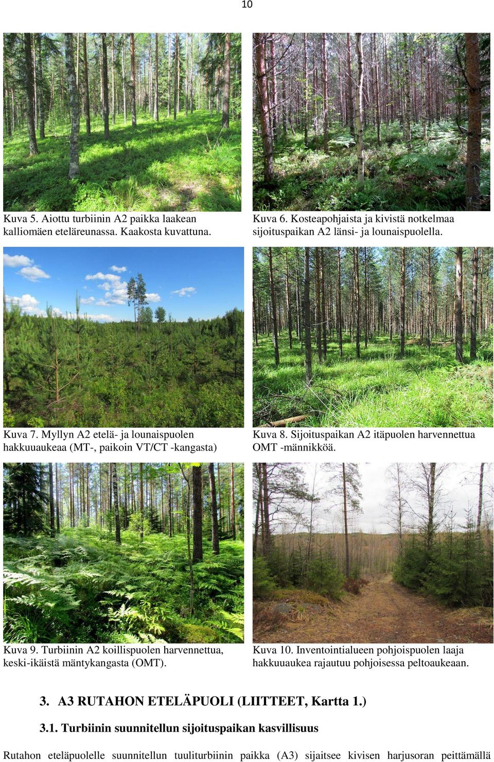 Sijoituspaikan A2 itäpuolen harvennettua OMT -männikköä. Kuva 9. Turbiinin A2 koillispuolen harvennettua, keski-ikäistä mäntykangasta (OMT). Kuva 10.