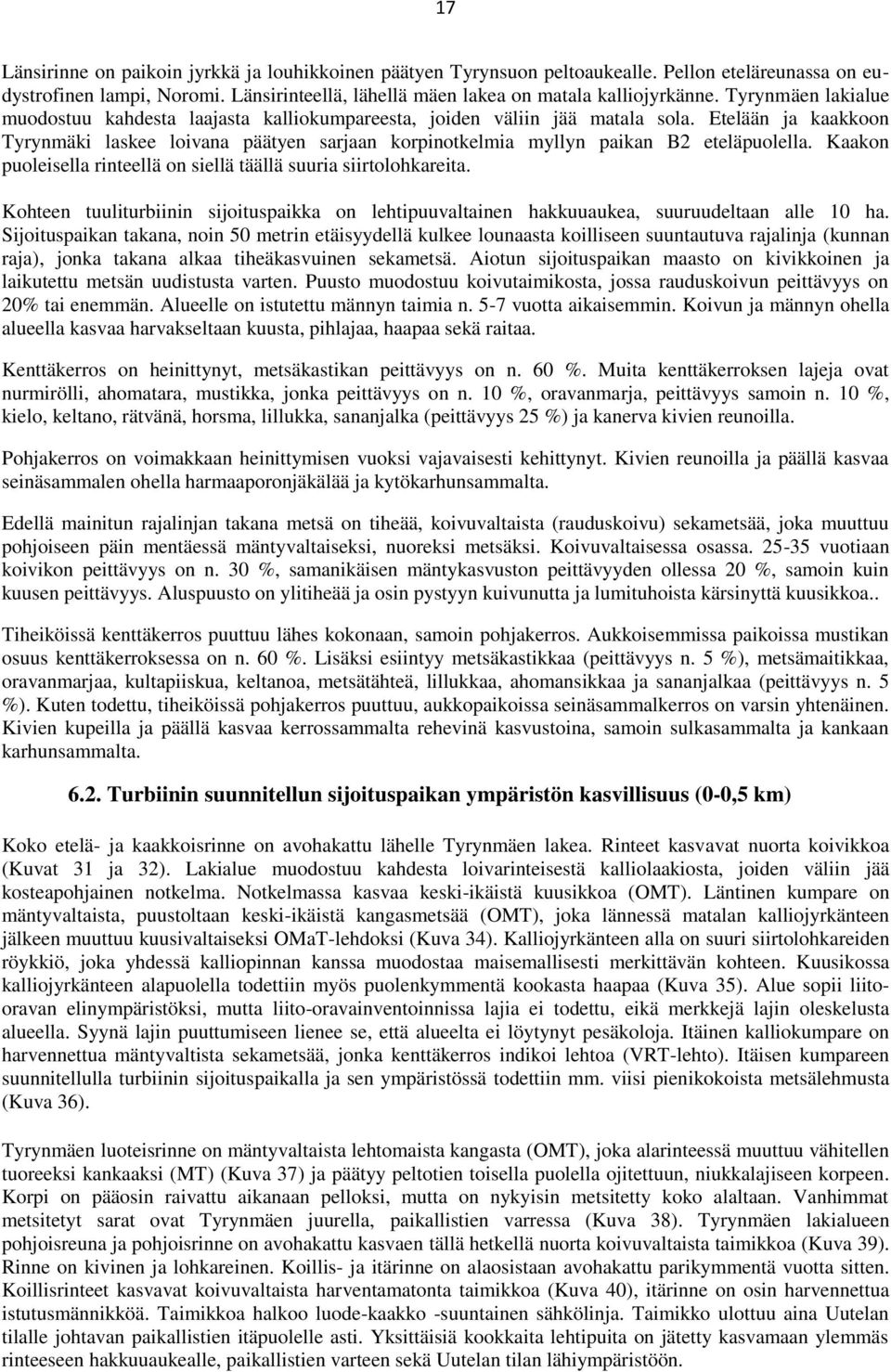 Etelään ja kaakkoon Tyrynmäki laskee loivana päätyen sarjaan korpinotkelmia myllyn paikan B2 eteläpuolella. Kaakon puoleisella rinteellä on siellä täällä suuria siirtolohkareita.