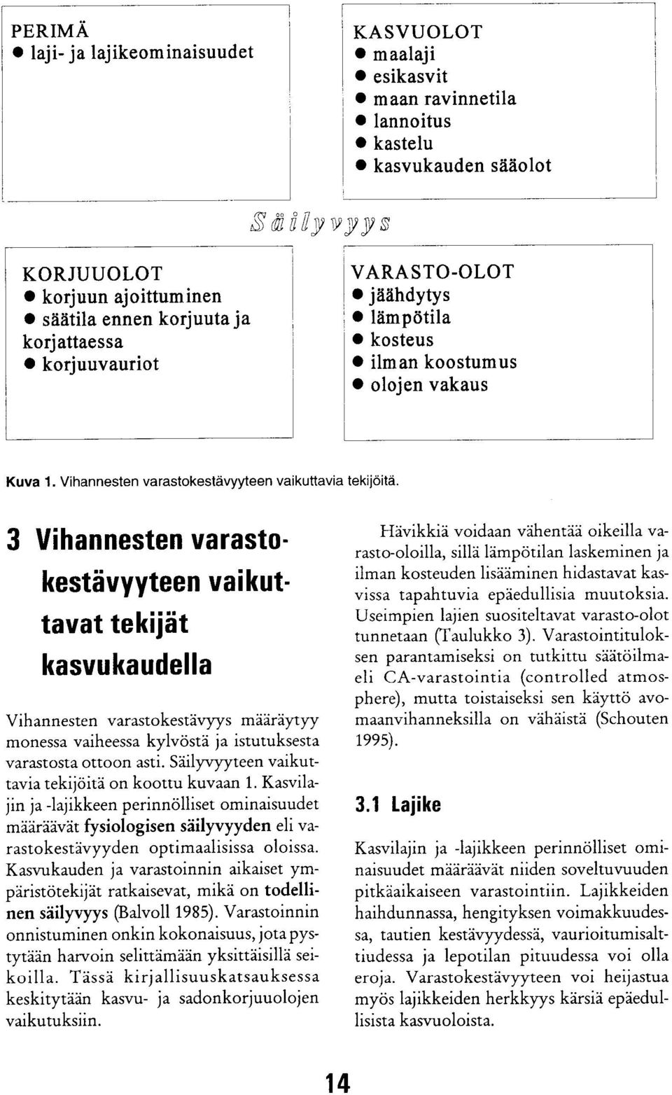 3 Vihannesten varastokestävyyteen vaikuttavat tekijät kasvukaudella Vihannesten varastokestävyys määräytyy monessa vaiheessa kylvöstä ja istutuksesta varastosta ottoon asti.