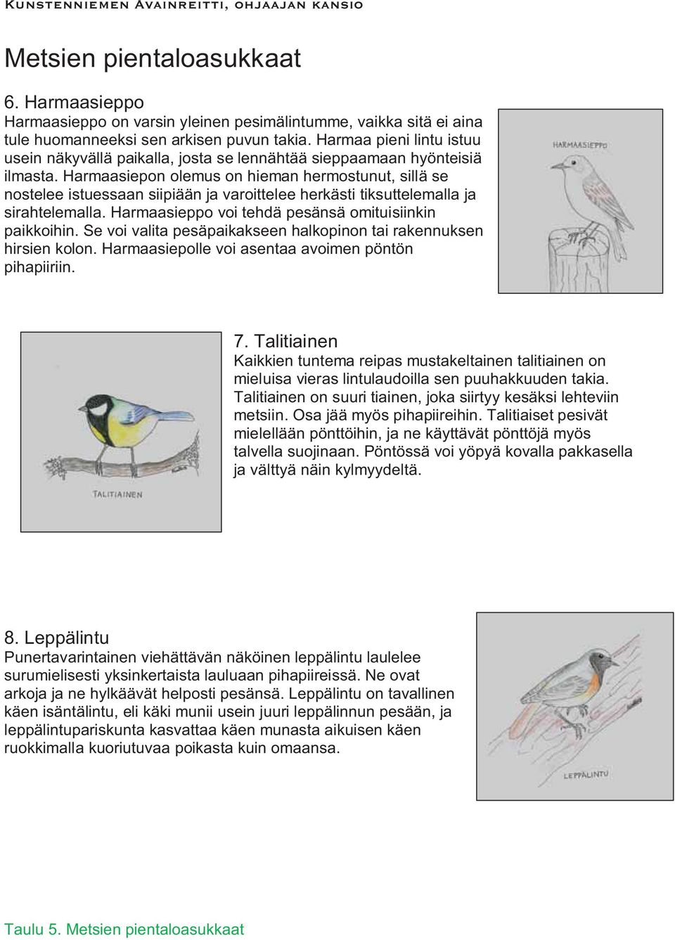 Harmaasiepon olemus on hieman hermostunut, sillä se nostelee istuessaan siipiään ja varoittelee herkästi tiksuttelemalla ja sirahtelemalla. Harmaasieppo voi tehdä pesänsä omituisiinkin paikkoihin.