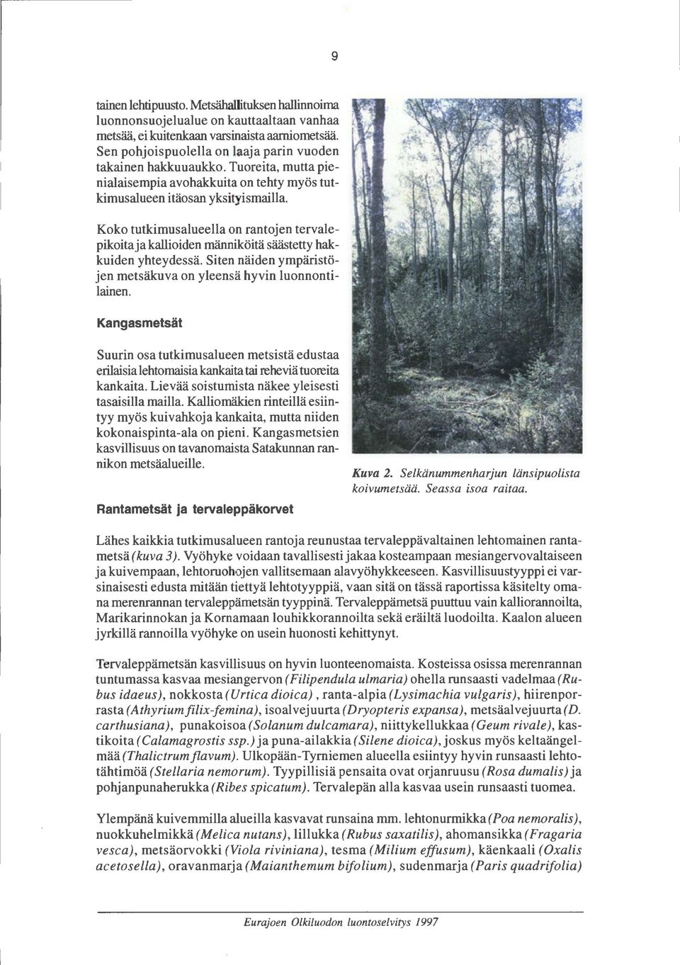 Koko tutkimus alueella on rantojen tervalepikoita ja kallioiden männiköitä säästetty hakkuiden yhteydessä. Siten näiden ympäristöjen metsäkuva on yleensä hyvin luonnontilainen.