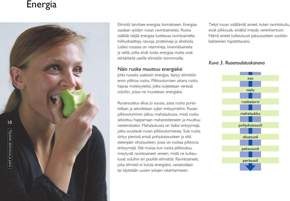 Lisäksi ruoassa on vitamiineja, kivennäisaineita ja vettä, jotka eivät tuota energiaa mutta ovat elintärkeitä useille elimistön toiminnoille.