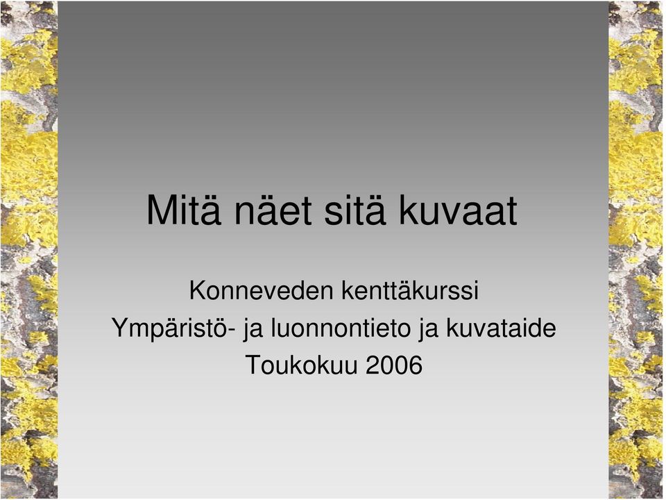 Ympäristö- ja