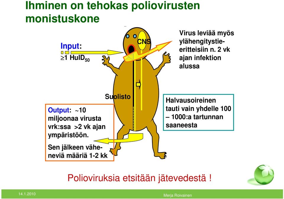 2 vk ajan infektion alussa Output: ~10 miljoonaa virusta vrk:ssa >2 vk ajan ympäristöön.