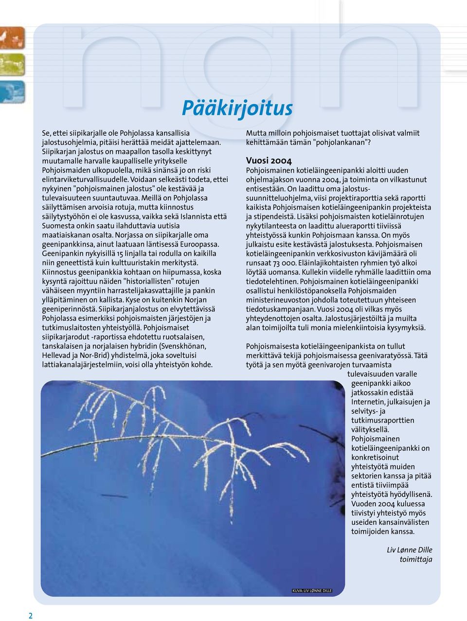 Voidaan selkeästi todeta, ettei nykyinen "pohjoismainen jalostus" ole kestävää ja tulevaisuuteen suuntautuvaa.