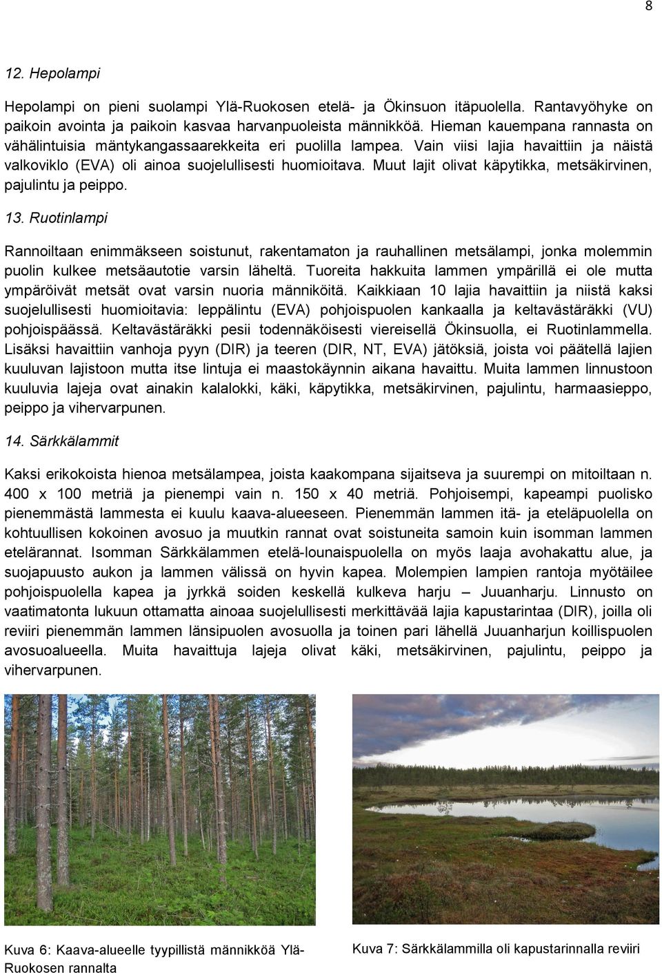 Muut lajit olivat käpytikka, metsäkirvinen, pajulintu ja peippo. 13.