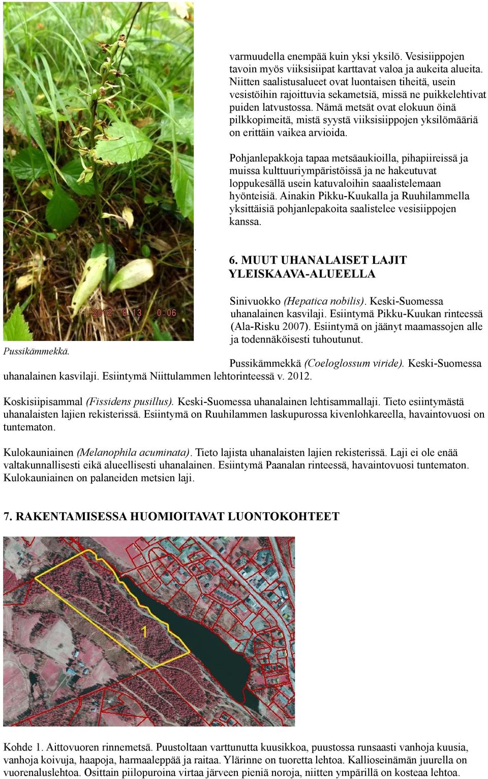 Nämä metsät ovat elokuun öinä pilkkopimeitä, mistä syystä viiksisiippojen yksilömääriä on erittäin vaikea arvioida.