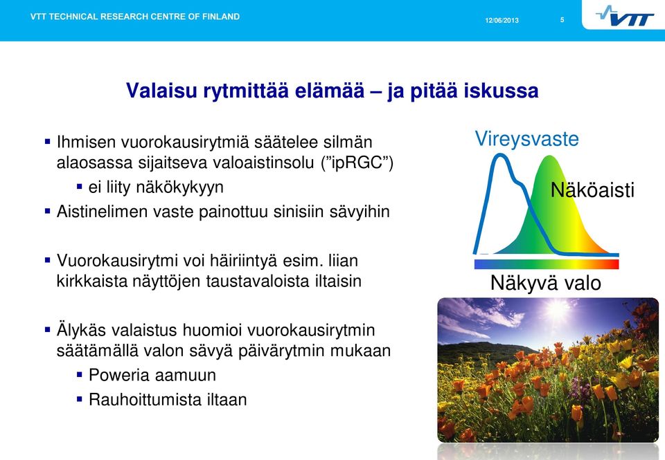 Näköaisti Vuorokausirytmi voi häiriintyä esim.