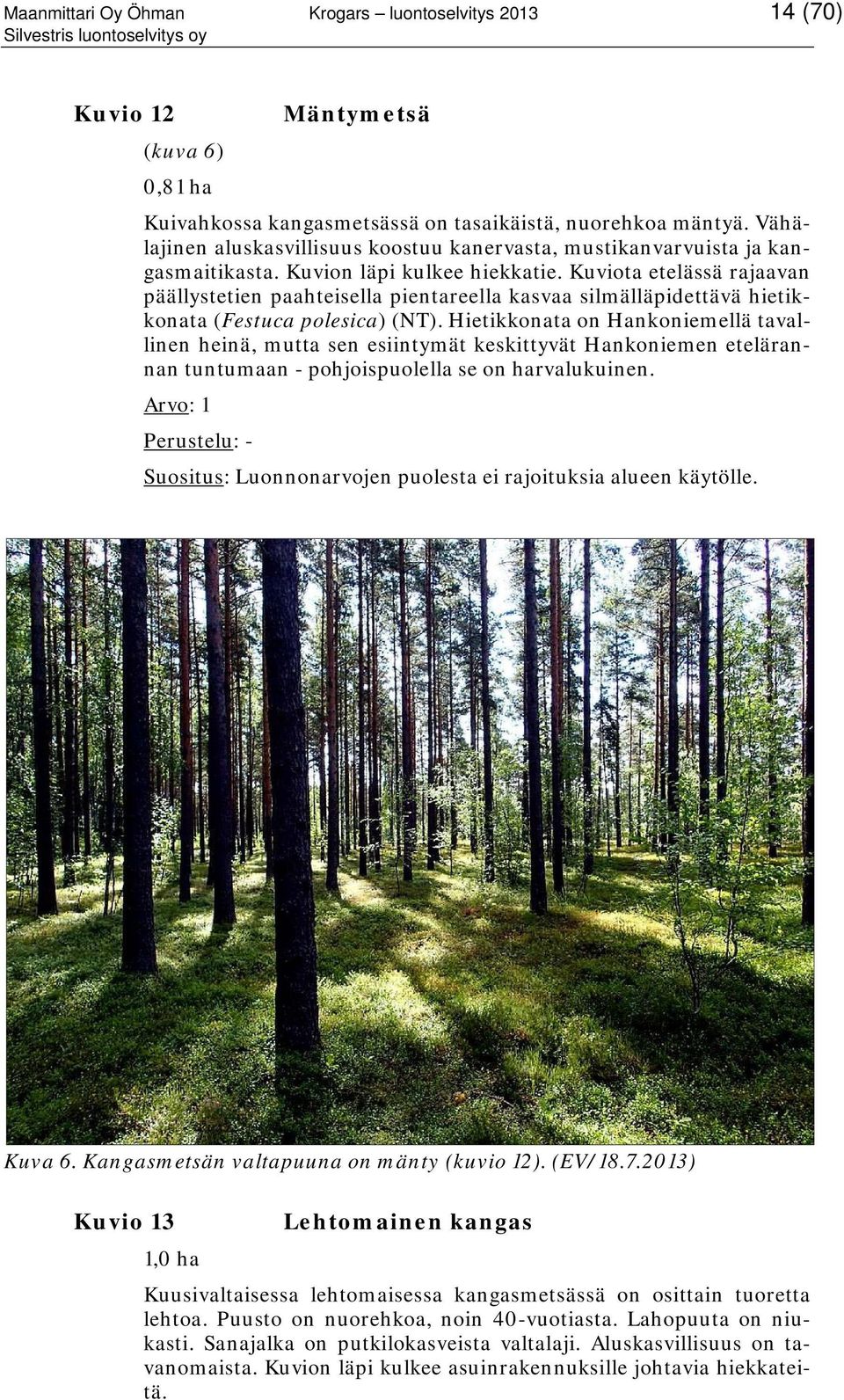 Kuviota etelässä rajaavan päällystetien paahteisella pientareella kasvaa silmälläpidettävä hietikkonata (Festuca polesica) (NT).