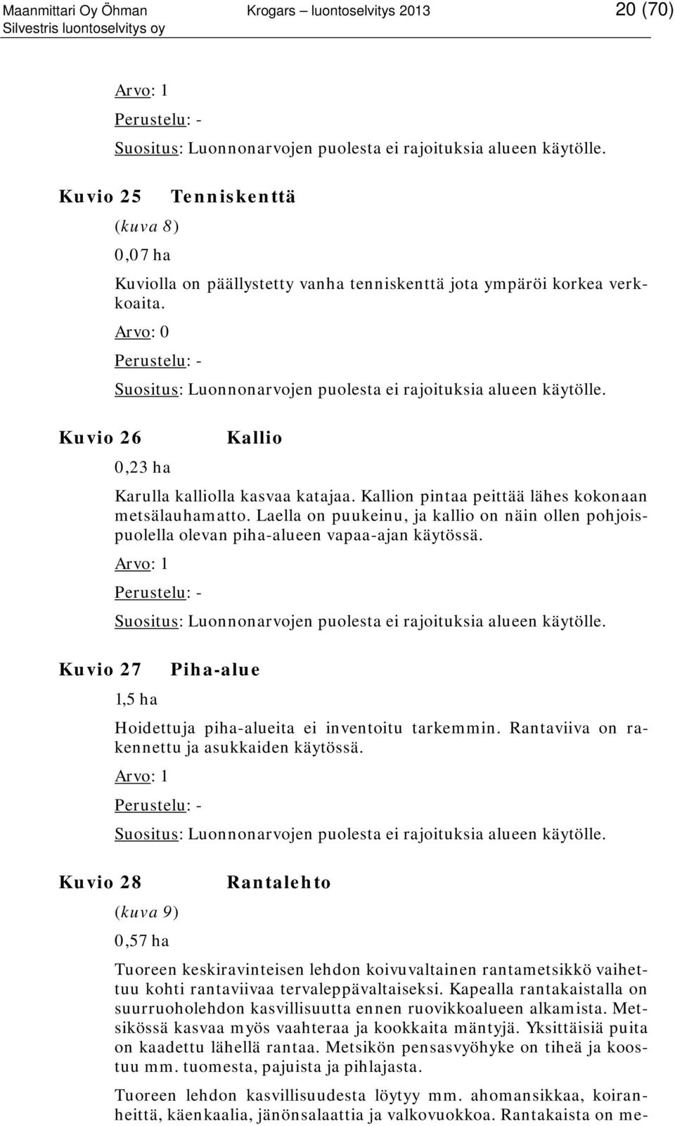 Laella on puukeinu, ja kallio on näin ollen pohjoispuolella olevan piha-alueen vapaa-ajan käytössä. Piha-alue 1,5 ha Hoidettuja piha-alueita ei inventoitu tarkemmin.