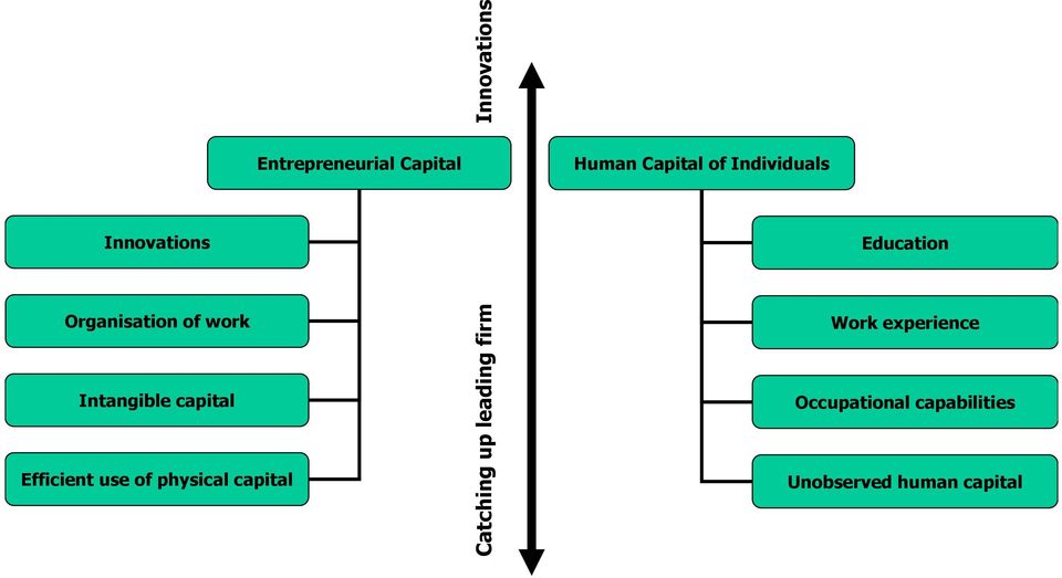 up leading firm Innovations Human Capital of Individuals