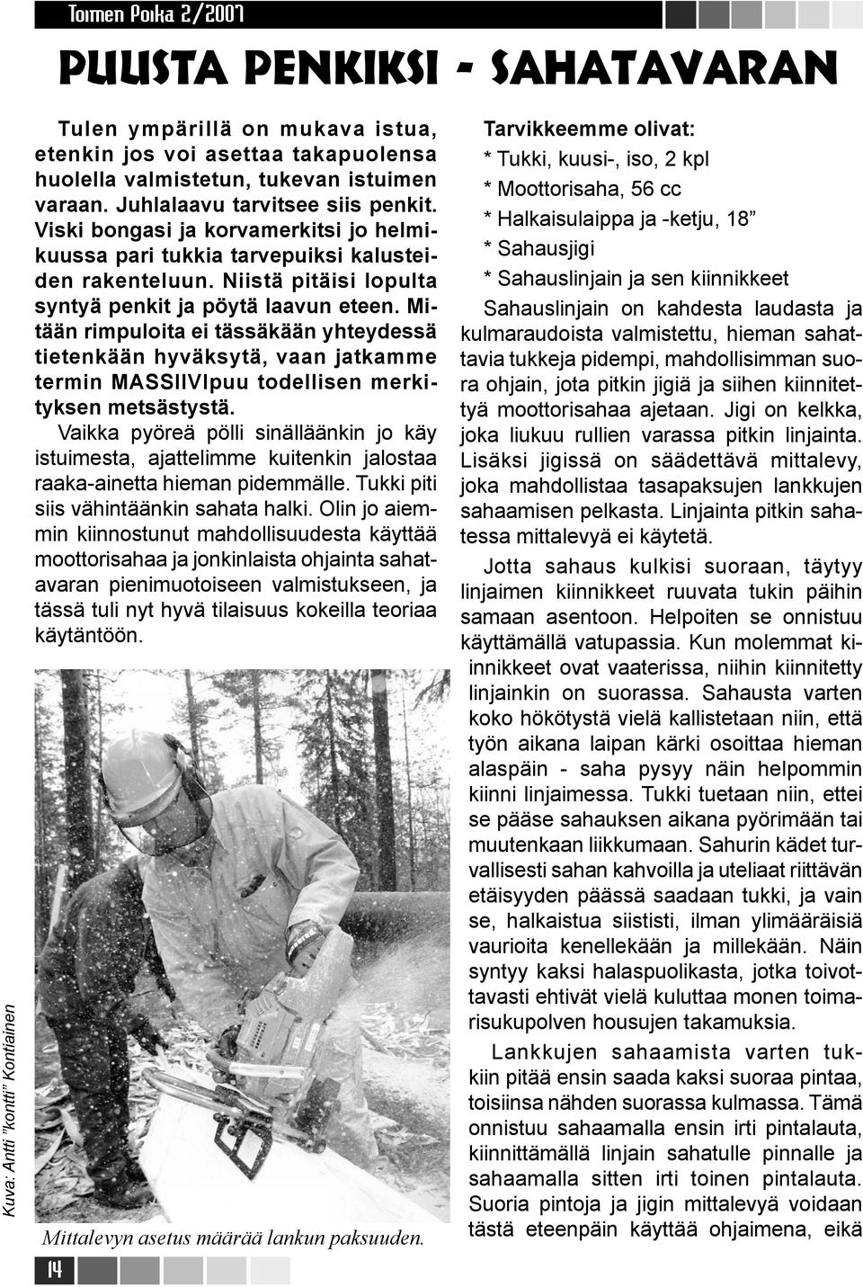 Mitään rimpuloita ei tässäkään yhteydessä tietenkään hyväksytä, vaan jatkamme termin MASSIIVIpuu todellisen merkityksen metsästystä.