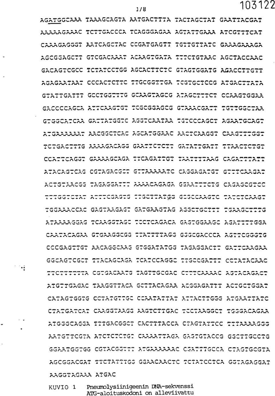 GTATTGATTT GCCTGG7TTG GCAAGTAGCG ATAGC77TC7 CCAAGTGGAA GAe- CCCAGCA ATTCAAGTG: 7CGCGGAGCG GTA7-;CGATT 7G77GGC7._ pm.ma..eme Na " k.7^. ^ %4W:.. 1.. *N ".N.1 ^ ^1" AGCT P. PF1 / C,.---.,--. I....5 ON.