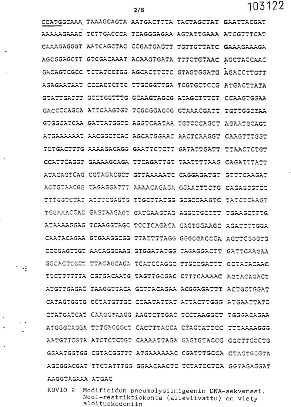 GACCCCAGCA TCGCGGAGCG G7GGCATCAA GATTATGGTC AGG7CAATAA 7GTCCCAGC7 Ar:AATGCAGT ATG^^^^^...T TCTGACTTTG A:...AGACAGG GAATTCTCTT GATATTGATT TTAACTCTGT CCATTCAGGT GAAAAGCA G A -..-., ---. --"C=C.