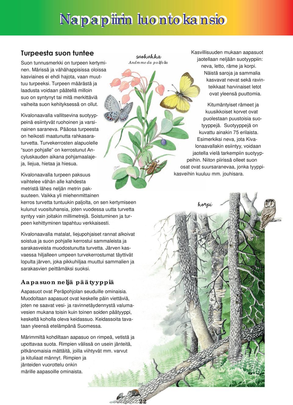 Kivalonaavalla vallitsevina suotyyppeinä esiintyvät ruohoinen ja varsinainen saraneva. Pääosa turpeesta on heikosti maatunutta rahkasaraturvetta.