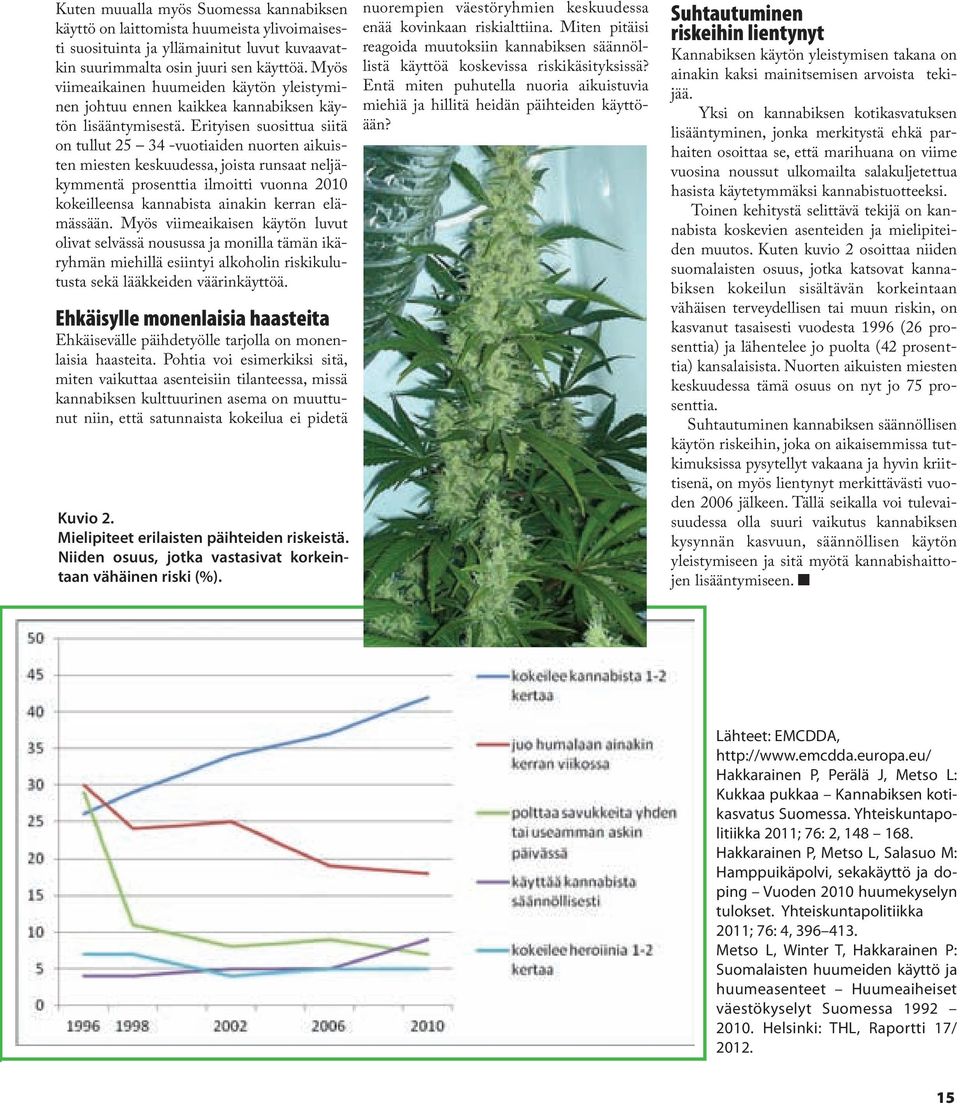 Erityisen suosittua siitä on tullut 25 34 -vuotiaiden nuorten aikuisten miesten keskuudessa, joista runsaat neljäkymmentä prosenttia ilmoitti vuonna 2010 kokeilleensa kannabista ainakin kerran