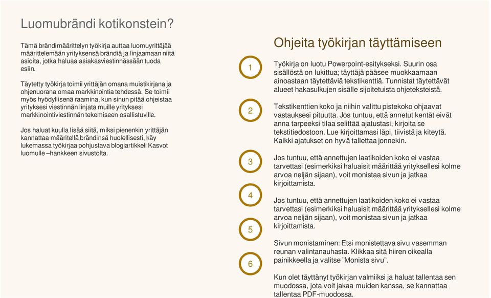 Se toimii myös hyödyllisenä raamina, kun sinun pitää ohjeistaa yrityksesi viestinnän linjata muille yrityksesi markkinointiviestinnän tekemiseen osallistuville.