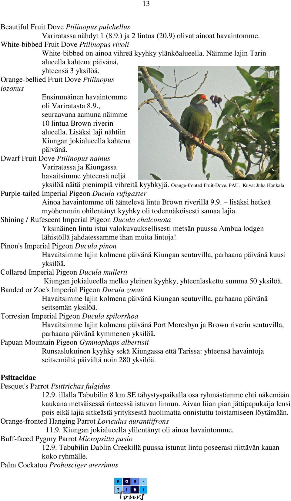 Orange-bellied Fruit Dove Ptilinopus iozonus Ensimmäinen havaintomme oli Variratasta 8.9., seuraavana aamuna näimme 10 lintua Brown riverin alueella.