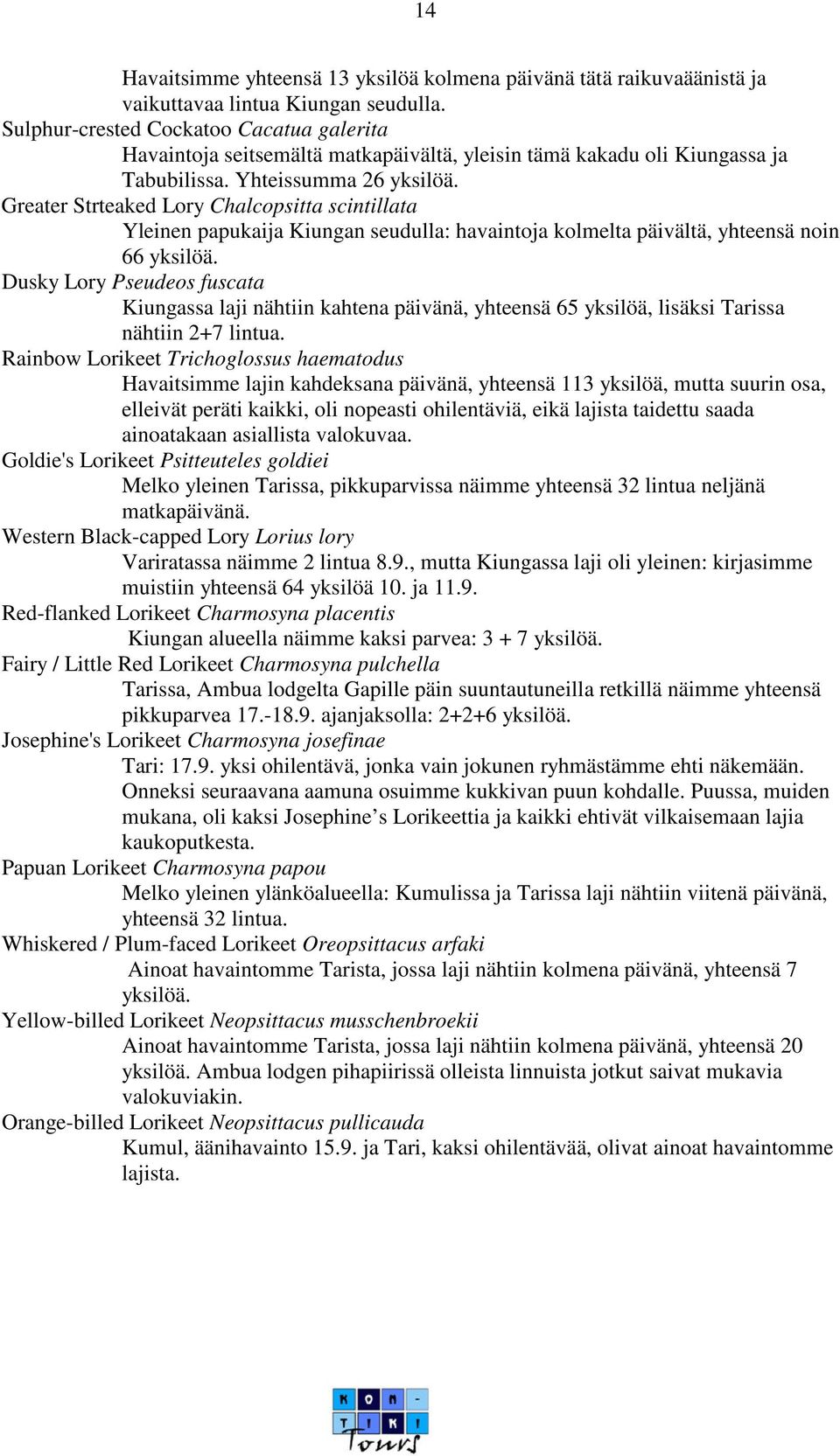 Greater Strteaked Lory Chalcopsitta scintillata Yleinen papukaija Kiungan seudulla: havaintoja kolmelta päivältä, yhteensä noin 66 yksilöä.