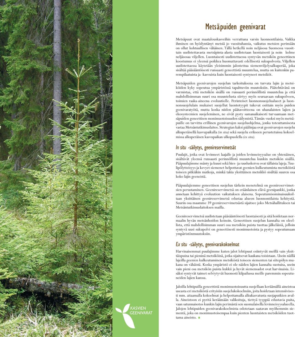 Tällä hetkellä noin neljäsosa Suomessa vuosittain uudistettavasta metsäpinta-alasta uudistetaan luontaisesti ja noin kolme neljäsosaa viljellen.