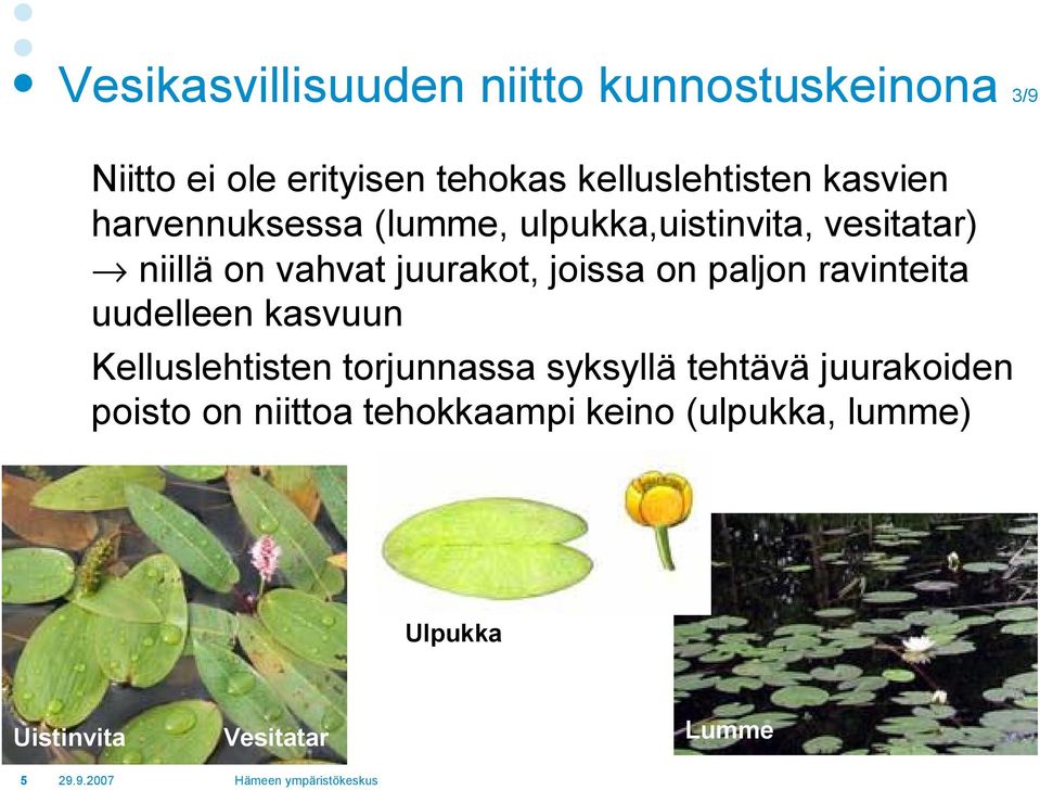 vahvat juurakot, joissa on paljon ravinteita uudelleen kasvuun Kelluslehtisten torjunnassa