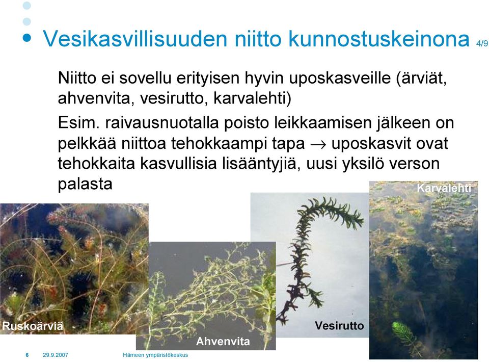 raivausnuotalla poisto leikkaamisen jälkeen on pelkkää niittoa tehokkaampi tapa