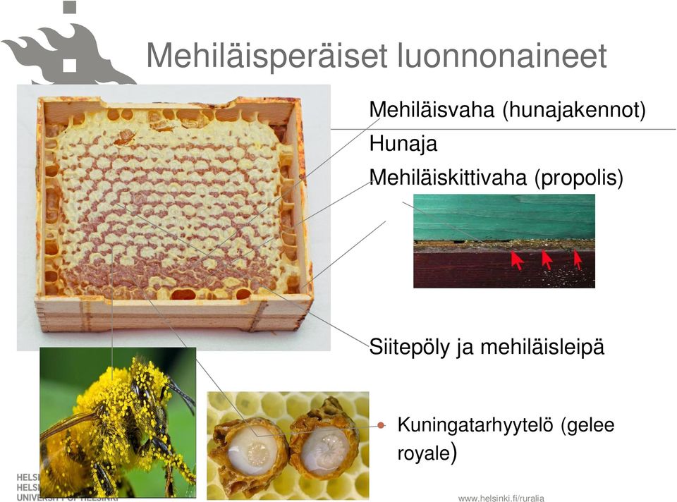 Mehiläiskittivaha (propolis) Siitepöly