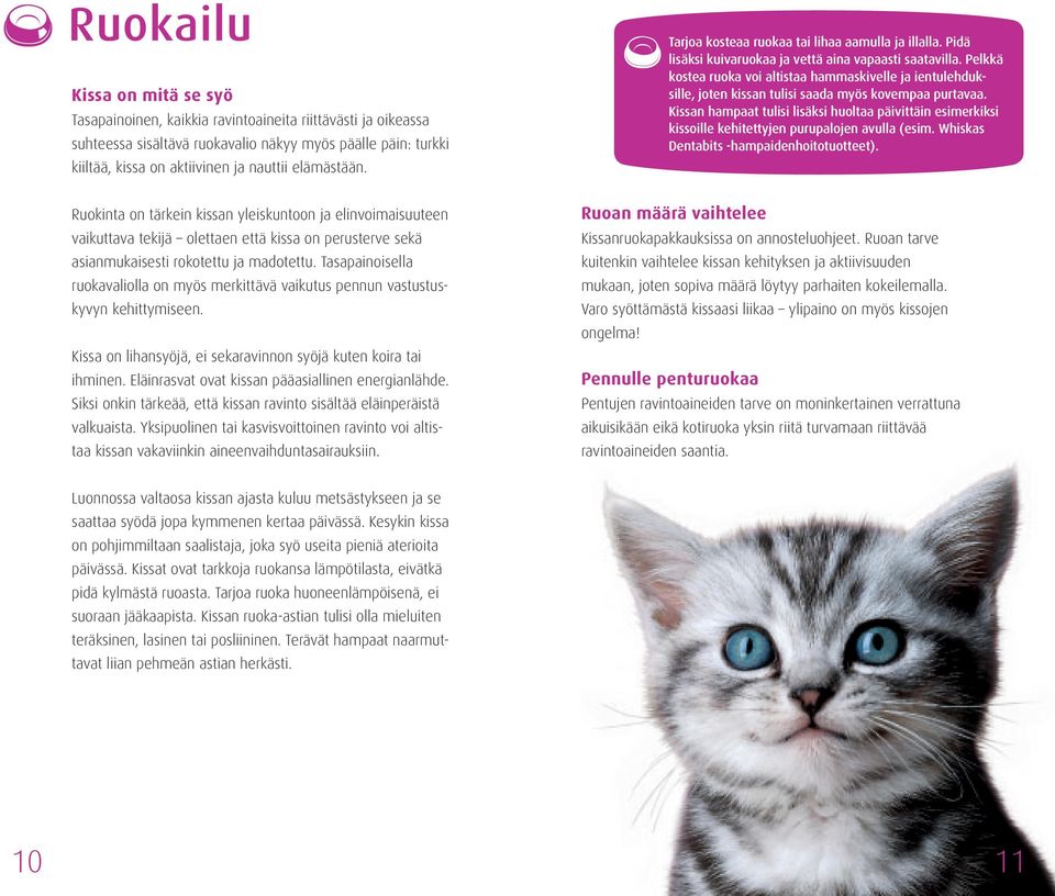 Tasapainoisella ruokavaliolla on myös merkittävä vaikutus pennun vastustuskyvyn kehittymiseen. Kissa on lihansyöjä, ei sekaravinnon syöjä kuten koira tai ihminen.