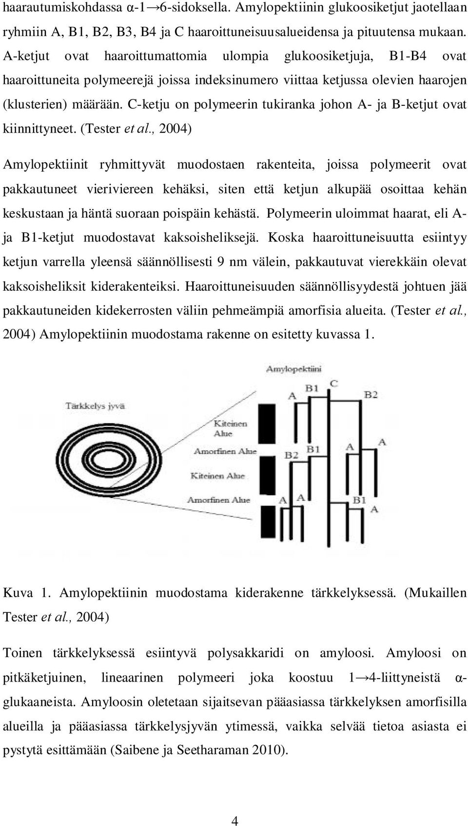 C-ketju on polymeerin tukiranka johon A- ja B-ketjut ovat kiinnittyneet. (Tester et al.