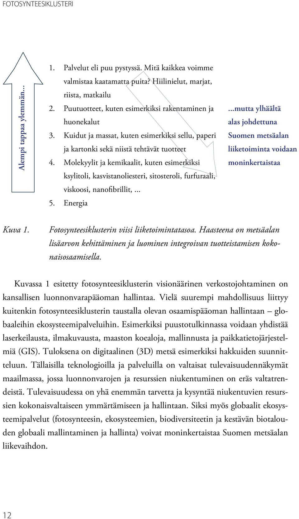 Molekyylit ja kemikaalit, kuten esimerkiksi ksylitoli, kasvistanoliesteri, sitosteroli, furfuraali, viskoosi, nanofibrillit,... 5. Energia.
